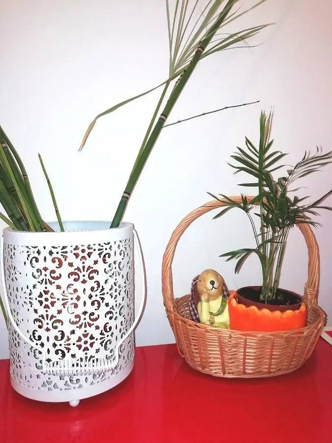 Affittacamere Apartament'S Veiga Areeiro Lisbona